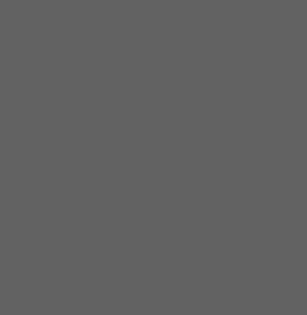 Anthracite Grey U12290 SD