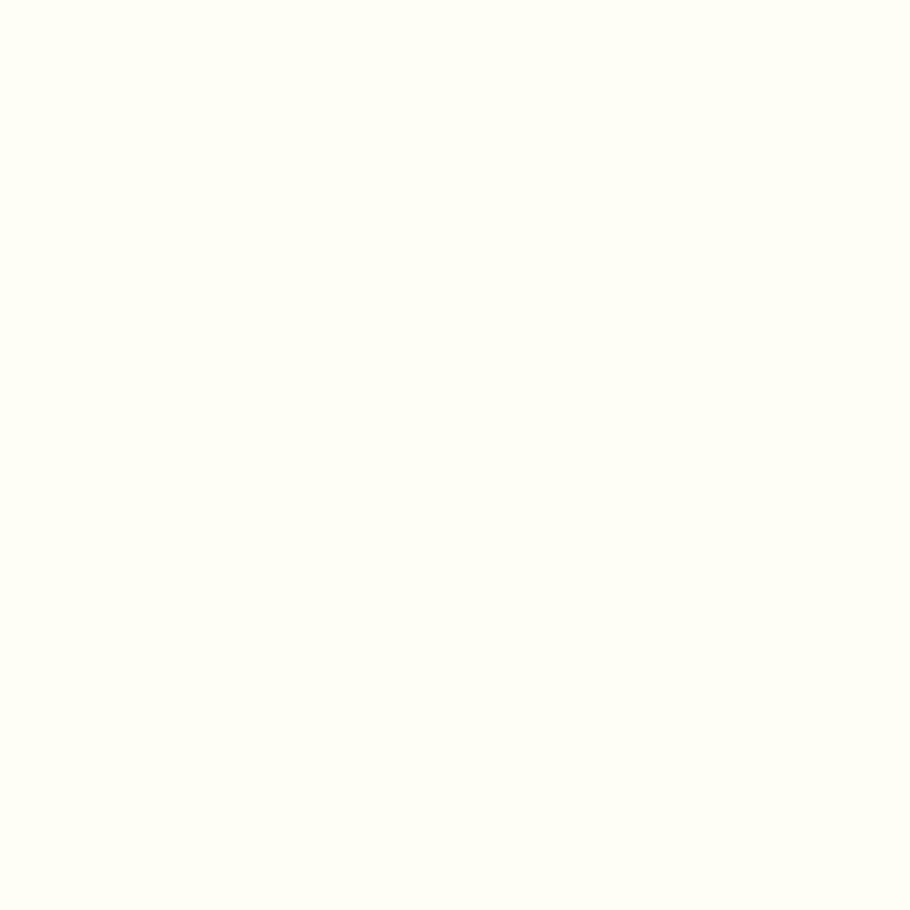 Opaque White W10400 VV